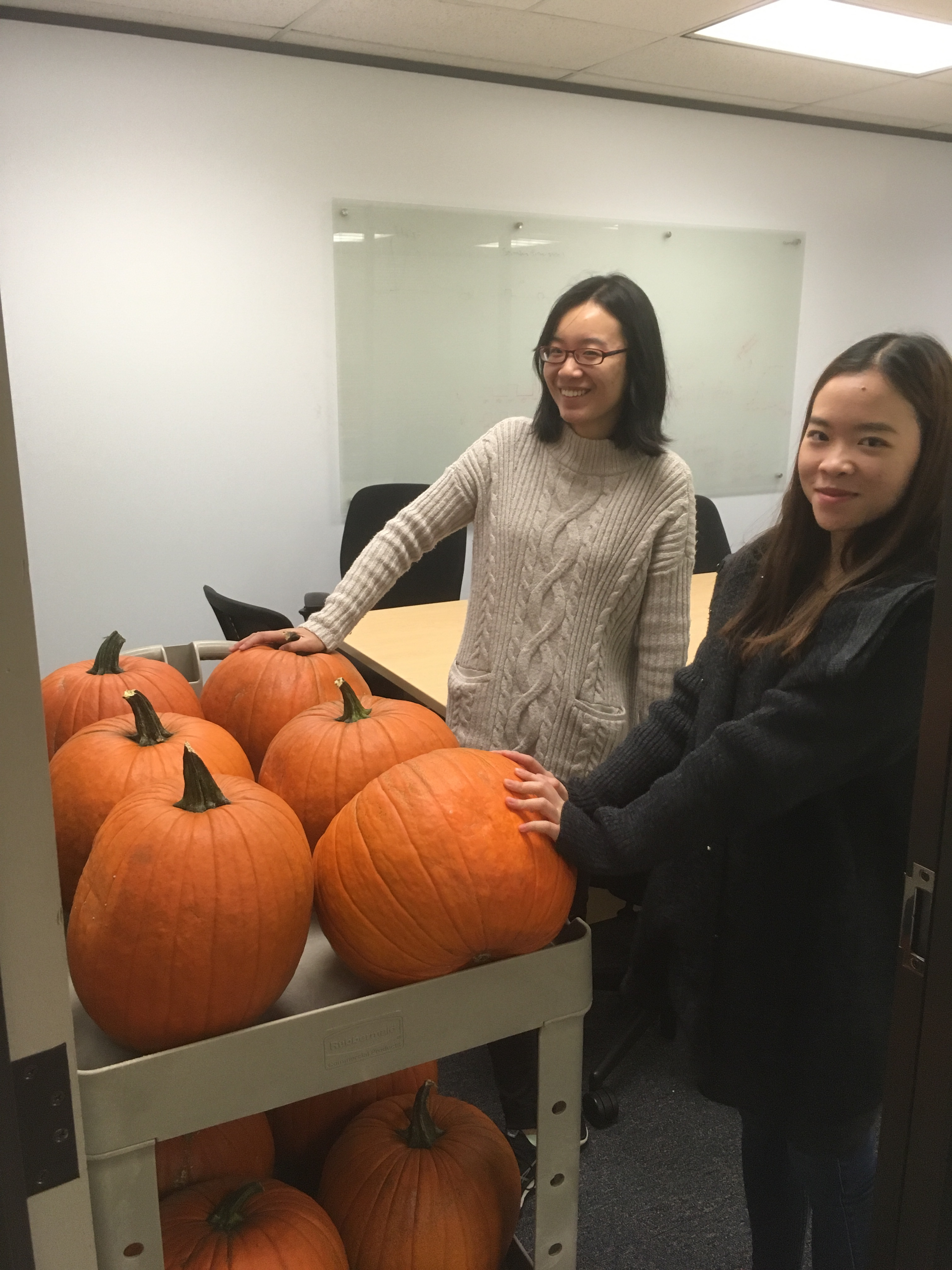 Fun – YAU LAB